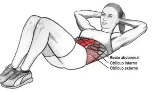 Los secretos de los músculos abdominales: tipos, funciones y ejercicios