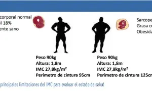 Cómo calcular masa muscular de forma precisa y efectiva para tu salud