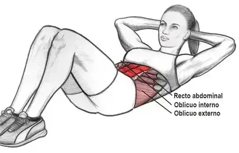 Los secretos de los músculos abdominales: tipos, funciones y ejercicios