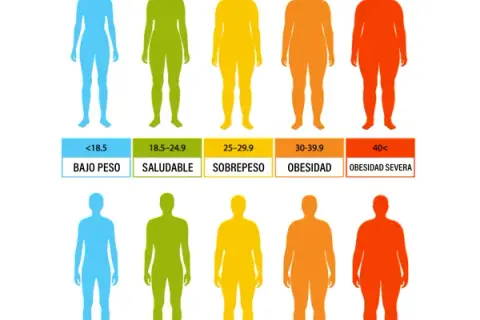 Masa muscular ideal en kg: ¿Estás por debajo de lo saludable?