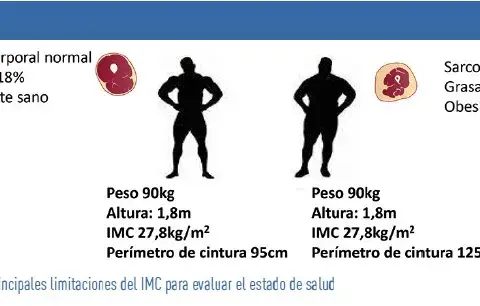 Cómo calcular masa muscular de forma precisa y efectiva para tu salud