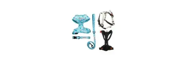 Las mejores correas y collares para perros: comodidad y estilo para tu mascota