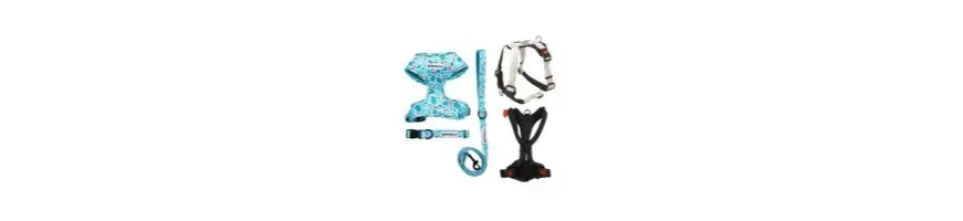 Las mejores correas y collares para perros: comodidad y estilo para tu mascota