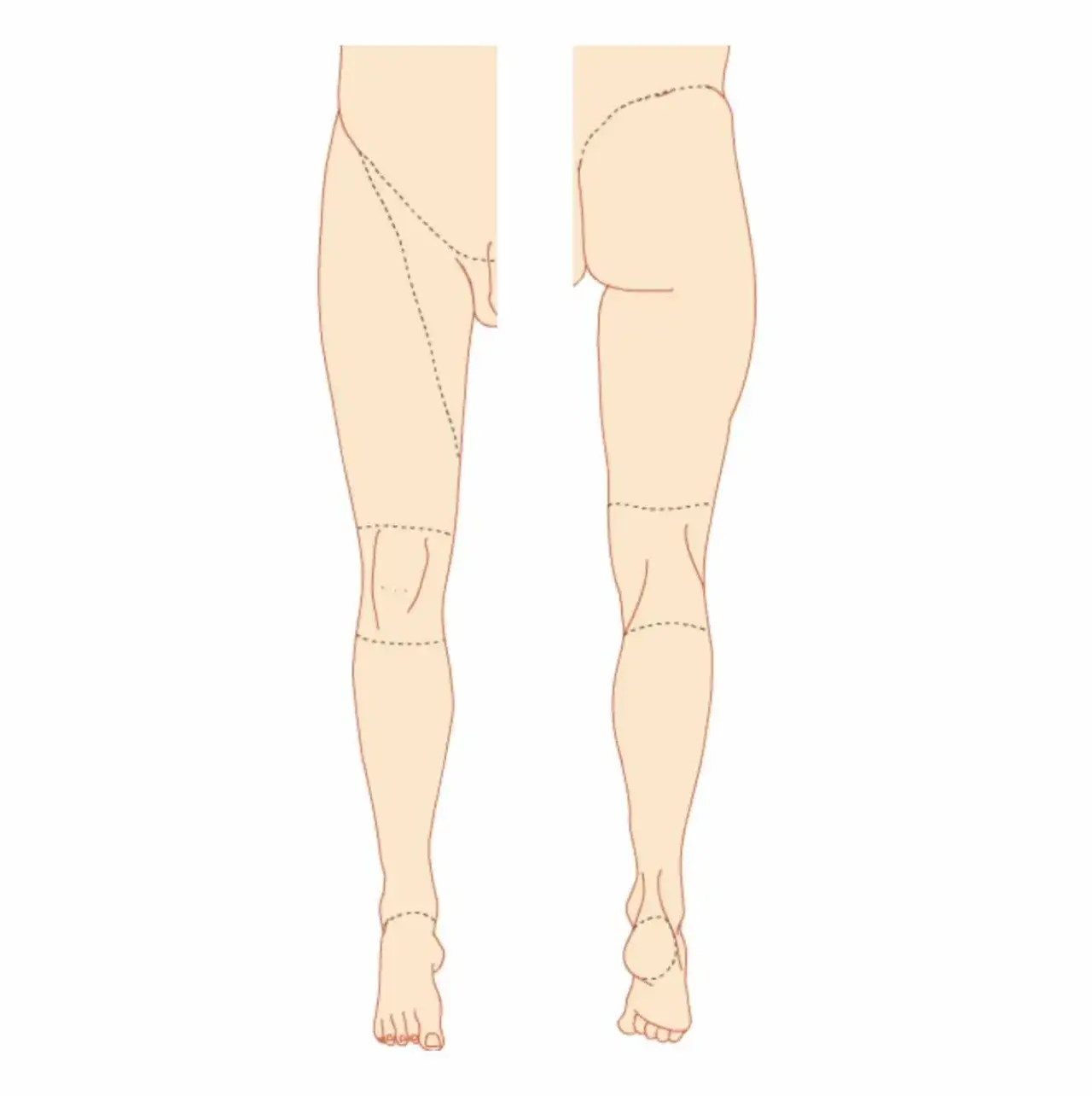 Zdjęcie Todo sobre los músculos de la pierna: funciones y anatomía completa